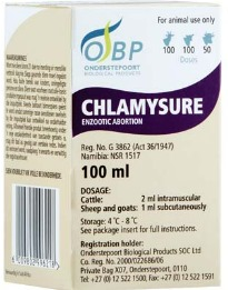 Description of Photo 4