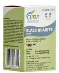 Description of Photo 3