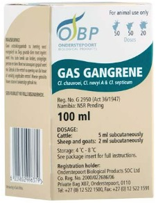 Description of Photo 1