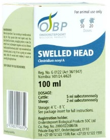 Description of Photo 1