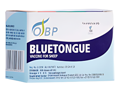 Description of Photo 2