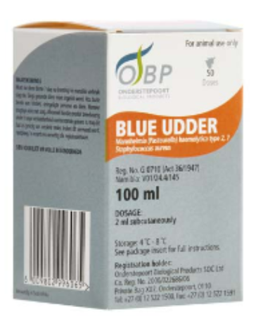 Description of Photo 4