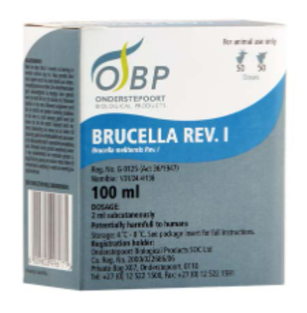 Description of Photo 5