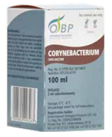 Description of Photo 3