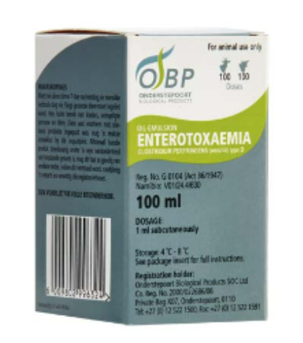 Description of Photo 2