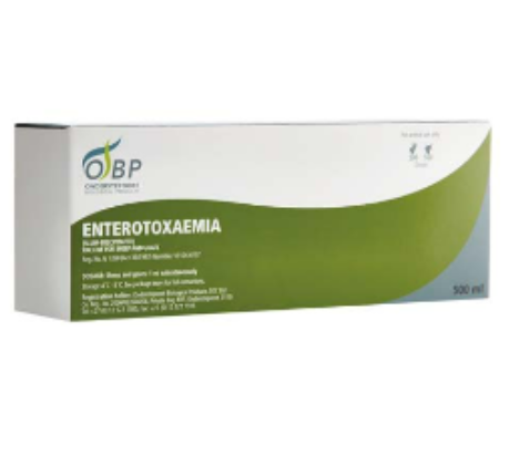 Description of Photo 1