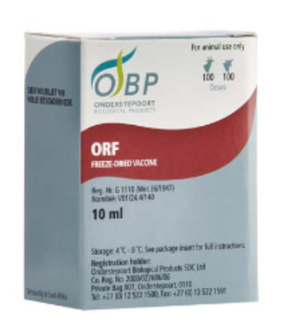 Description of Photo 1