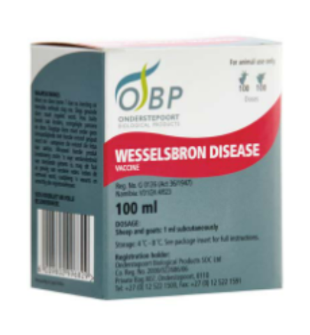 Description of Photo 1